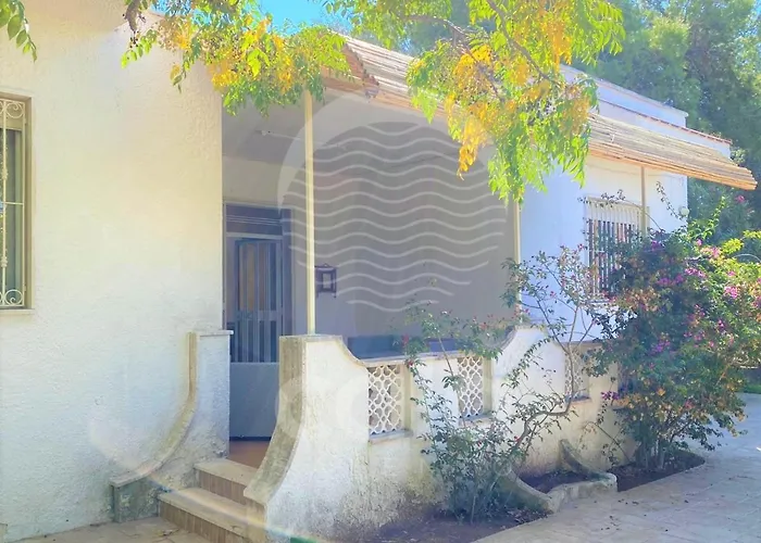 Villa Giuliangela - A 400 M By Cala Salento